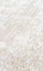 Безворсовый ковёр Canary Blank BLA 02 бежевый с чёрным, 200&times;290 см CNR-1254 фото 6