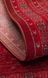 Килим Ekocarpet Mossy MOS 17 Red 200*290 CNR-1782 фото 2