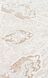 Ковер Canary Calibre CLB PLM 01 Cream Beige 160*230 CNR-1222 фото 5
