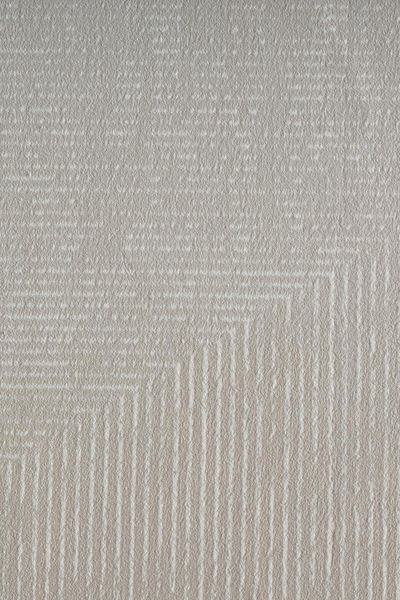 Ковер Canary Flax 4404 BELUGA 160*230 CNR-974 фото
